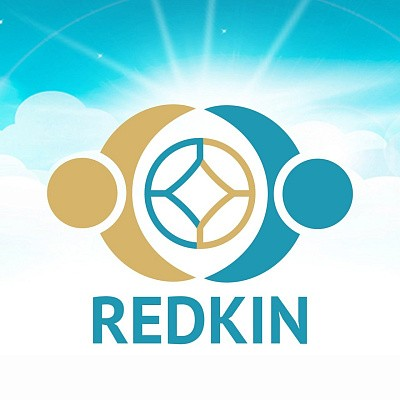 Логотип Школа имени Александра Редькина