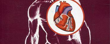 Патофизиология сердца и сосудов. Монография